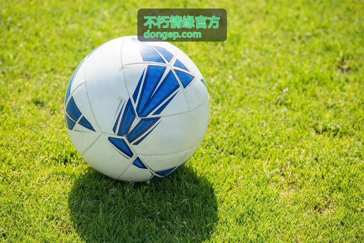 不朽情缘官方新手入门指引阶段示意封面