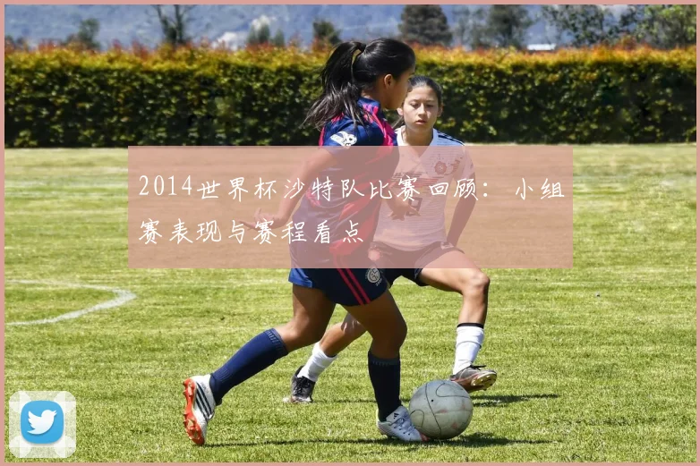 2014世界杯沙特队比赛回顾:小组赛表现与赛程看点